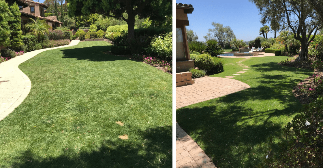 Multiple before and after examples of synthetic grass installation